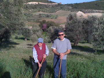 Yiorgos and Theofanis Tagaras in the fields in Ancient Nemea